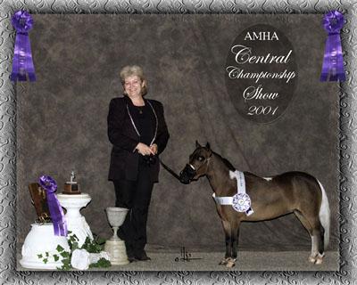 Central champ show photo