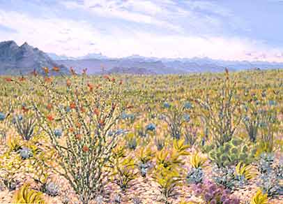 ocotillo  Painting 22K