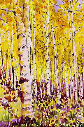 Aspen watercolor  22K