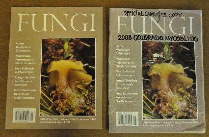 new copy and Campsite Copy of Fungi 
magazine