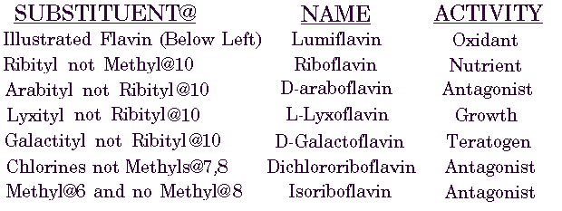 Flavin Analogues of Riboflavin