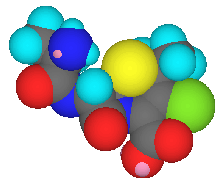 Aminocephalosporin