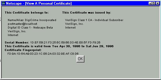 Netscape window