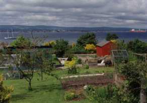 Backyard in Jemimaville