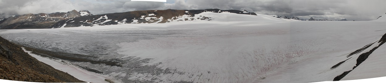 Reef Icefield