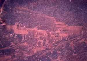 Petroglyph Deer