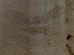 Pecked Bird