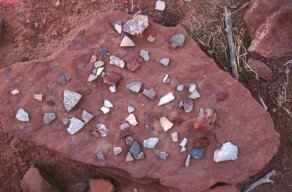 Pottery Shards